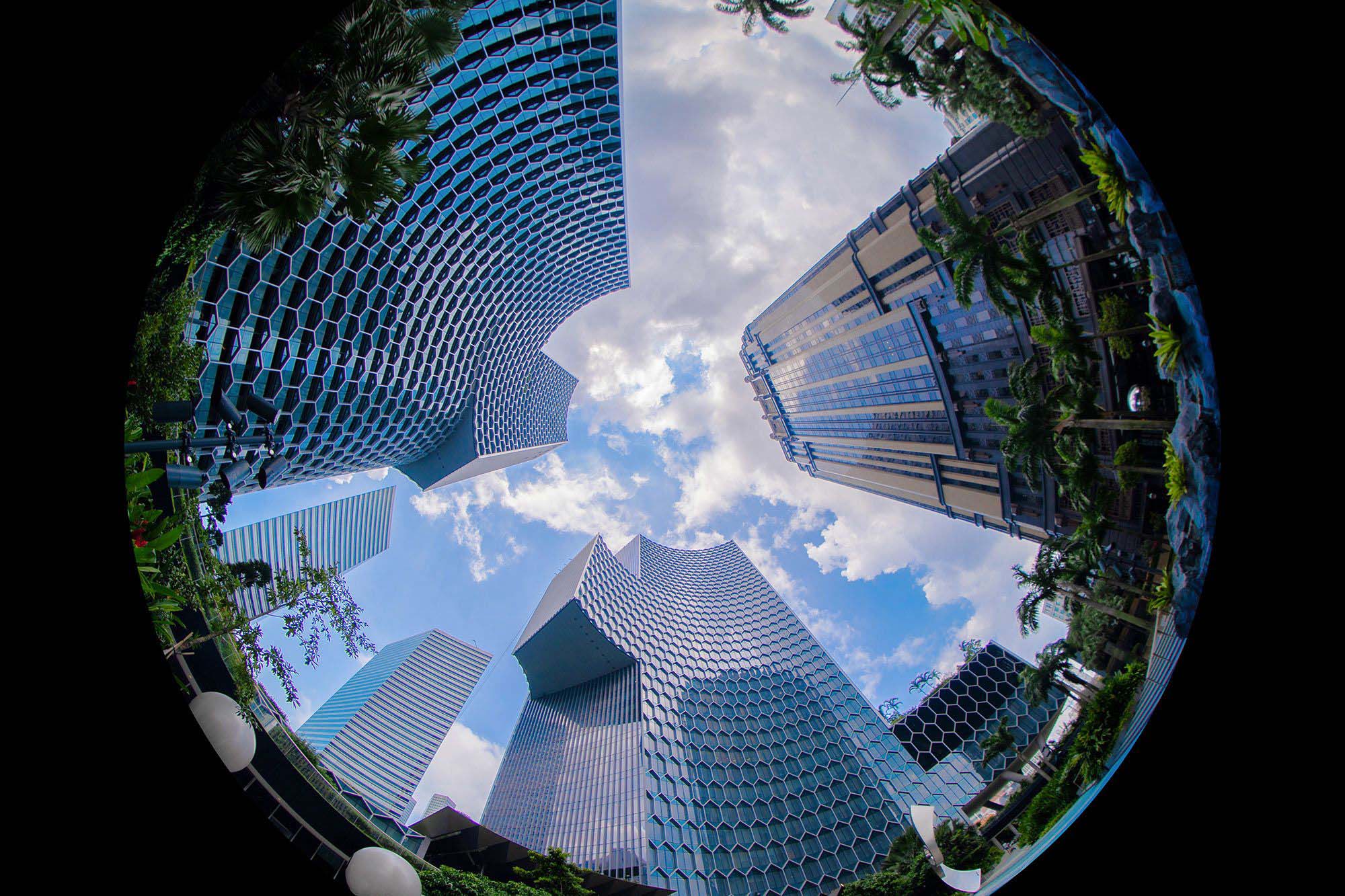 sacdweavfae (10).jpg