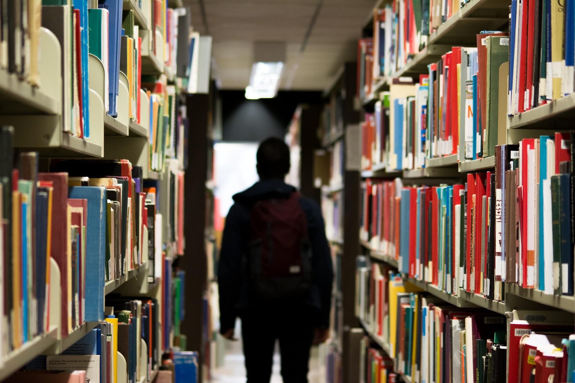 stocksnap-library-922998_1920.jpg