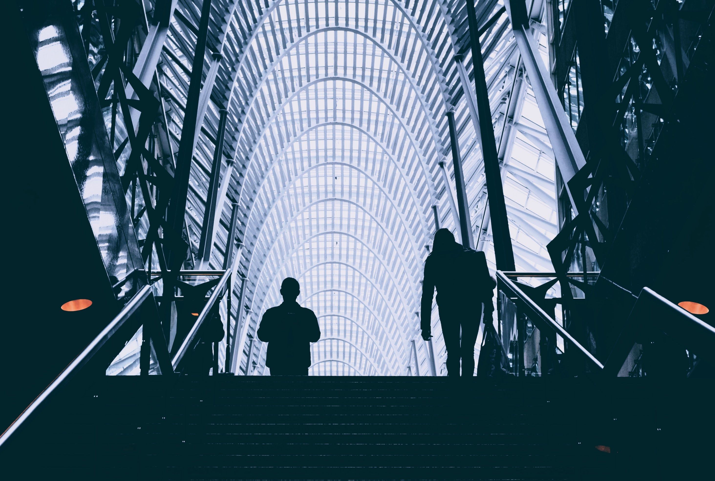 pexels-punttim-443409.jpg
