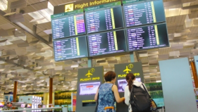 IATA：明年全球航空乘客量料首破50亿人次