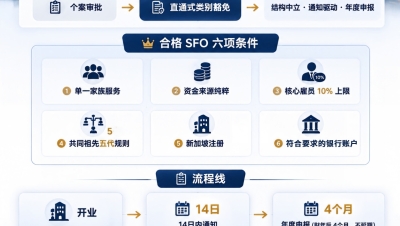 一图读懂新加坡家族办公室SFO新政变化